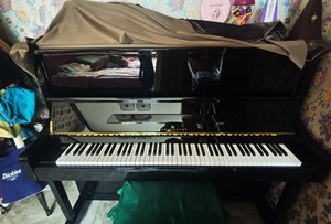 闲置 限郑州同城自提 德国斯坦梅尔钢琴 TS300 全球十大