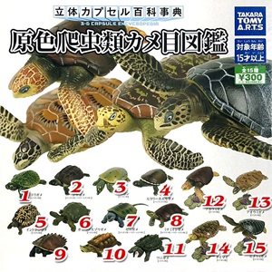 正品散货TAKARA TOMY扭蛋原色爬虫类乌龟海龟全套15
