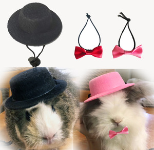 【小额】宠物兔子豚鼠荷兰猪龙猫刺猬帽子小礼帽节日变身