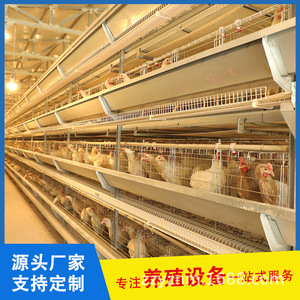 笼养鸡设备 捡蛋养鸡场设备 贵州遵义 五层全自动层叠蛋鸡养殖笼