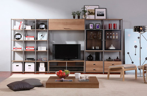 猫王风格小户型客厅家具钢木组合家具电视柜简约视听柜书柜书架