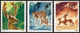 秒杀 T52 梅花鹿邮票新中国邮品套票“T”字头特种邮票