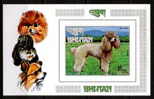 QZ412 不丹 1972 世界名犬 宠物狗 贵宾犬 无齿小型张 全新