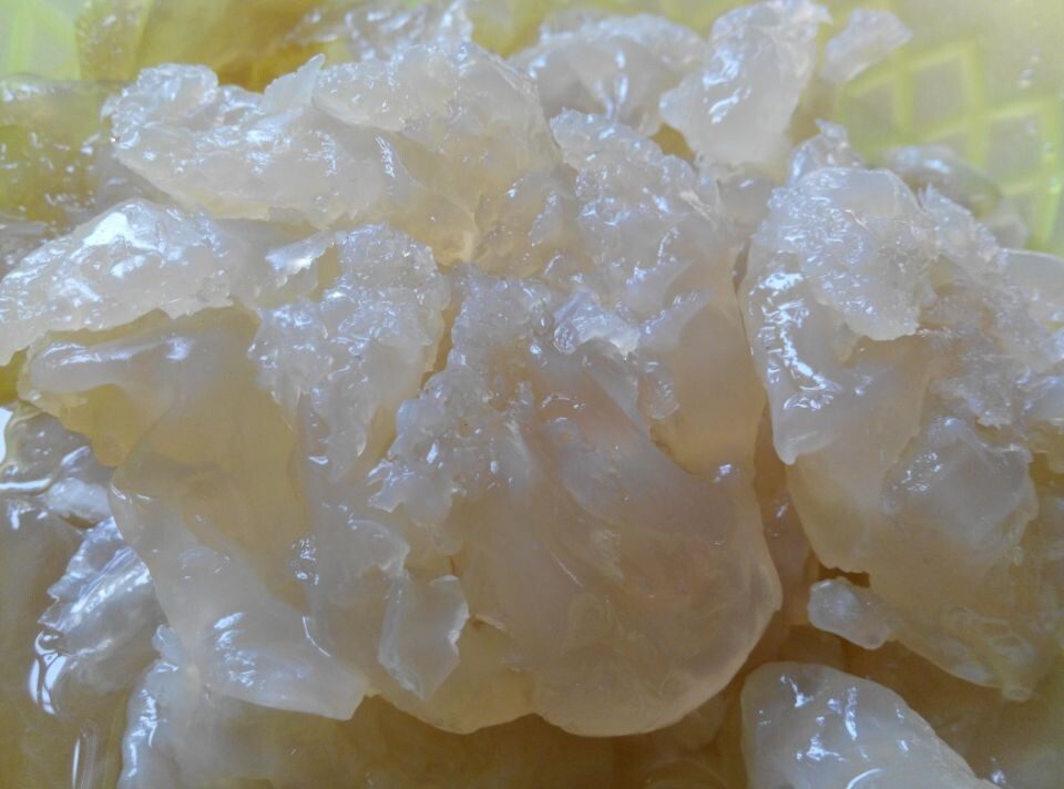 天然野生海蜇头/海蜇花/纯天然北部湾捕捞/无污染/健康绿色食品