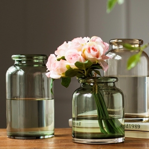 现代简约创意透明玻璃花瓶家居饰品水培客厅餐桌装饰花插花器摆件