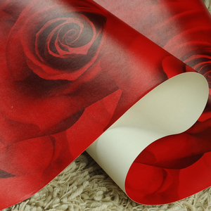 中式大红色玫瑰花墙纸 美容院宾馆主题房背景 复古深色系防水壁纸