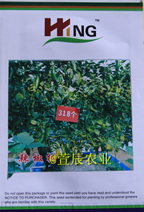 辣椒树种子 进口多年生辣椒树种子 一株结果达1000多个 观赏食用