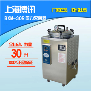 上海博讯/博迅 BXM-30R立式压力蒸汽灭菌锅蒸汽螺母灭菌器 安全阀