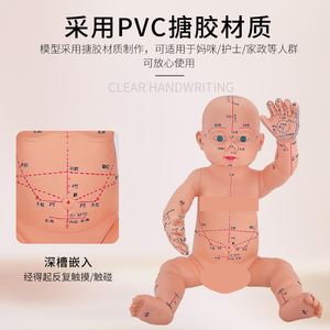 婴儿人体模型儿童娃娃人体模型针灸中H医通用穴位小儿推拿仿真模