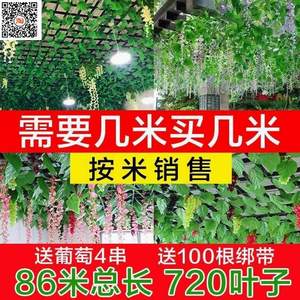 创意创意假花f藤条横梁叶藤蔓枯藤卧室绿植装饰客厅房梁室内吊顶