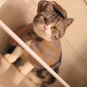 福尔摩斯猫侦探帽子斗篷套装宠物猫衣服可爱英短美短猫咪搞怪装扮