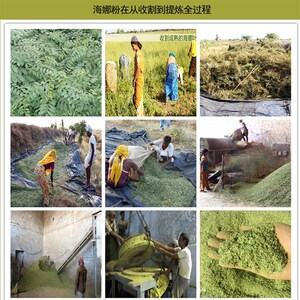 海哪染发粉海娜粉染头正品天然纯C植物黑色靛蓝粉海纳粉新疆染发