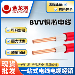 金龙羽国标BVV铜i芯电线4/10/16/25/35平方双层塑料NHBV家装电缆