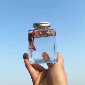 斗鱼罐子塑料方型鱼缸500毫升透明迷你微景观鱼缸小型养鱼繁殖瓶