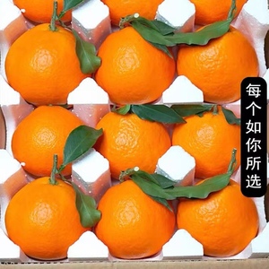 四川蒲江爱媛果冻橙10斤装橙子新鲜当季水果包邮