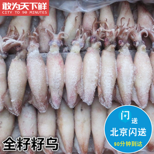 北京闪送 30只 全籽籽乌 海鲜满籽笔管鱼新鲜海兔子 墨鱼 鱿鱼