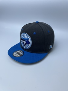 Newera MLB美国职业棒球联盟多伦多蓝鸟平檐立体刺绣经典棒球帽子