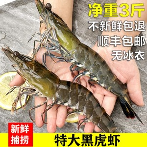 黑虎虾鲜活超大速冻特大海鲜水产老虎虾斑节虾基围虾生呛虾