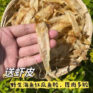 南澳岛红瓜鱼胶干货野鱼肚黄花鱼老花胶赤嘴鱼鳔非孕妇月子滋补品