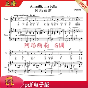 阿玛丽莉G调正谱 声乐钢琴五线谱 意中Amarilli, mia bella