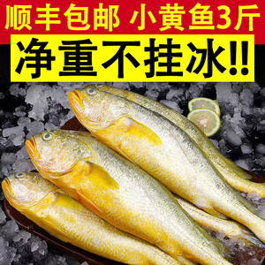 3斤小黄鱼霞浦特产小黄花鱼新鲜冷冻生鲜水产黄瓜鱼冰鲜海鱼整箱