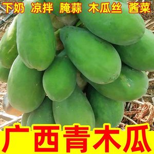 广西青木瓜哺乳期下奶用产妇水果土木瓜沙拉新鲜生木瓜农家蔬菜10