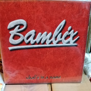 荷兰摇滚乐队斑比克斯Bambix-What's In A Name 黑胶LP 九品