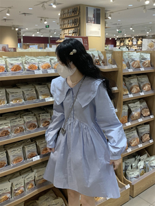 蓝色娃娃领长袖衬衫连衣裙秋季日韩系甜美可爱小个子宽松初恋短裙