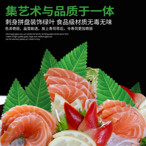 日本料理寿司绿叶冷盘塑料仿真青团装饰叶子日式刺身海鲜搭配树叶