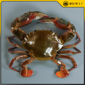 仿真赤甲红蟹模型假石甲特大螃蟹仿真海鲜水产青蟹花盖蟹海蟹模具
