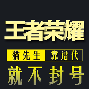 王者荣耀代练带打排位赏金匹配净胜刷英雄胜率巅峰赛战力省市标牌