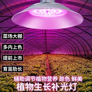 LED植物工矿灯大棚仿太阳光火龙果草莓育苗绿植上色多肉补光灯80W