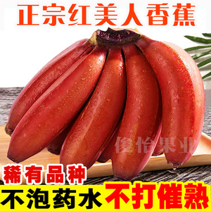 广西红美人香蕉美人蕉产地直发9斤5斤新鲜水果甜非福建土楼苹果蕉