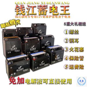 摩托车电瓶12v７a免维护通用铃木王钻豹太子钱江12V9AH摩托车电池