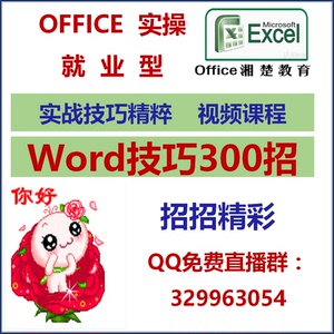 2013 OFFICE 财务会计excel办公软件Word实用技巧视频教程300例