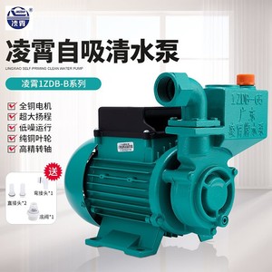 1ZDB65-B广东凌霄水泵 家用增压泵自吸清水泵 凌霄自吸泵 抽水泵
