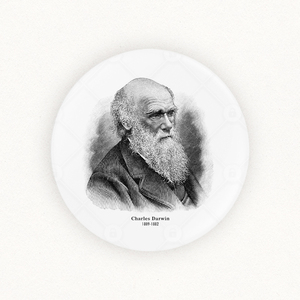 达尔文画像别针徽章胸针冰箱贴画生物学家自然地理科教周边纪念品
