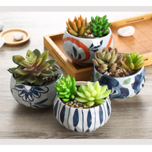 和风多肉植物 淘宝拼多多热销和风多肉植物货源拿货 阿里巴巴货源