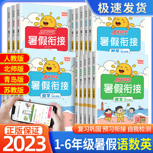 2023新版阳光同学 暑假衔接教材 5升6语文数学英语人教版小学暑假作业练习册五年级升六年级下册快乐暑期接力棒培训班提高辅导书