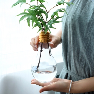 简约文艺绿植水培创意灯泡 透明玻璃花瓶 摆件客厅插花小清新包邮