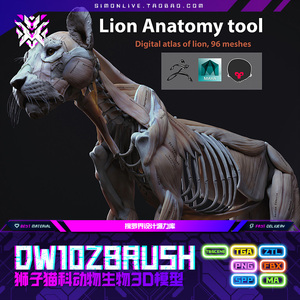 DW10-ZBRUSH狮子猫科动物生物3D模型ZTL FBX 3D模型设计资源素材
