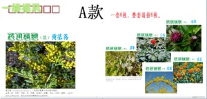 代办 2023-20药用植物三邮票 首日实寄封 平邮挂号实寄 美术封