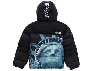 Supreme The North Face Statue of Liberty Baltoro Jacket TNF