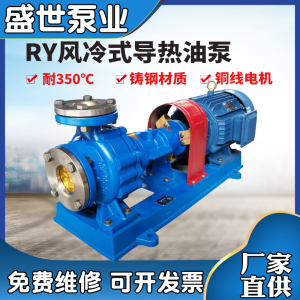 高温油泵RY风冷式热油循环泵导热油高温泵进口NSK轴承高温泵