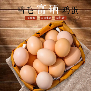 粤北雪毛土鸡蛋新鲜农家鸡孕妇宝宝健康营养农家鸡土鸡蛋