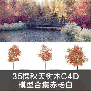 MX276-35棵秋天树木C4D模型合集赤杨白蜡树桦树森林枫树橡树景观