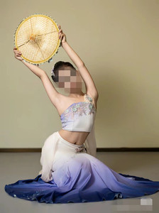 儿童成人傣族舞蹈服装艺考剧目演出练习半身裙包臀孔雀舞彩云之南
