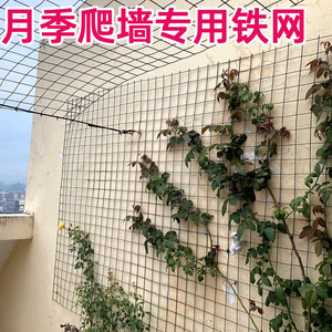 蔷薇月季爬藤专用铁丝网 植物爬墙网格藤曼墙面牵引网 园艺爬藤网