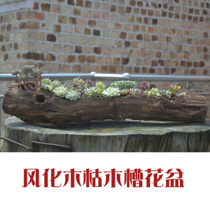 木槽多肉花盆造型木桩阳台花园布置创意个性大口径网红老木头花槽