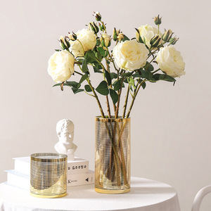 轻奢玻璃花瓶鎏金色水培水养客厅摆件插花创意艺术品花器欧式家居